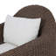 Doane Outdoor Swivel Lounge Chair