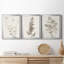 Neutral Botanical Study IV - Ensemble de 3 impressions sur toile encadrées-1770476219-1770476218