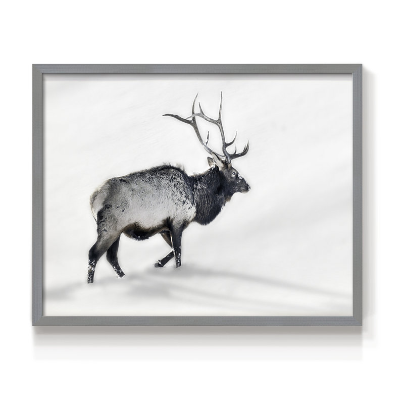 Lone Bull -Framed Print - Restickable, H 8 po x l 10 po, Gris
