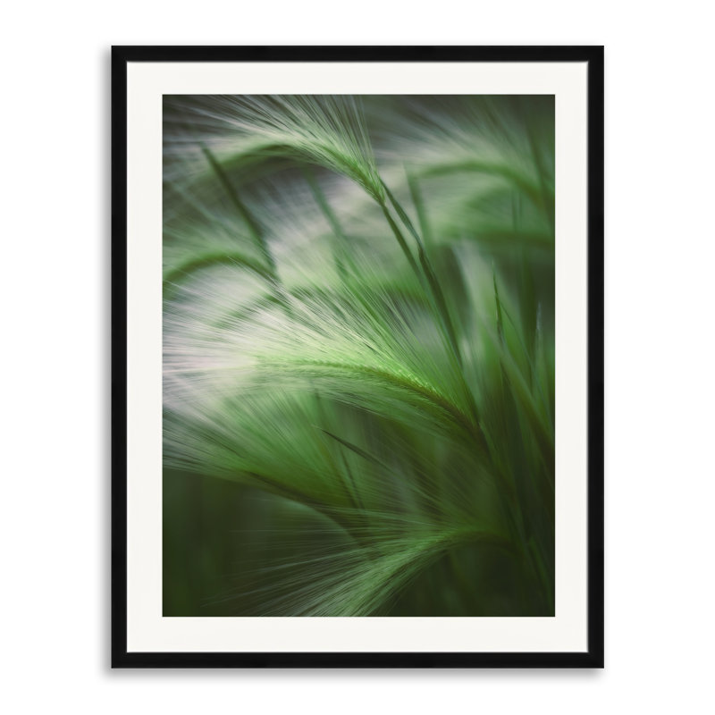 Soft Grass Print by Scott Norris, Black Framed Paper, 30" H x 24" W