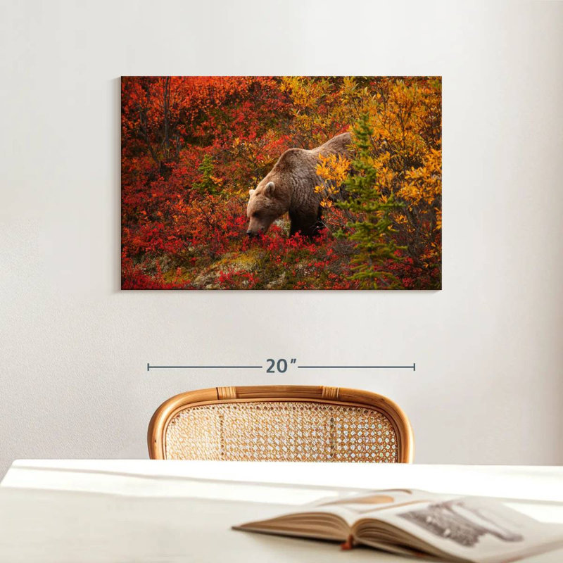 Crowle Alaskan Grizzly Bear, 16" H x 24" W