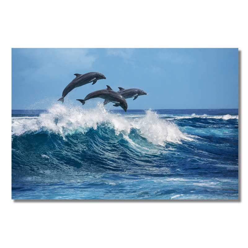 Dolphin Play Print, Plastic/Acrylic, 16" H x 20" W x 1.5" D