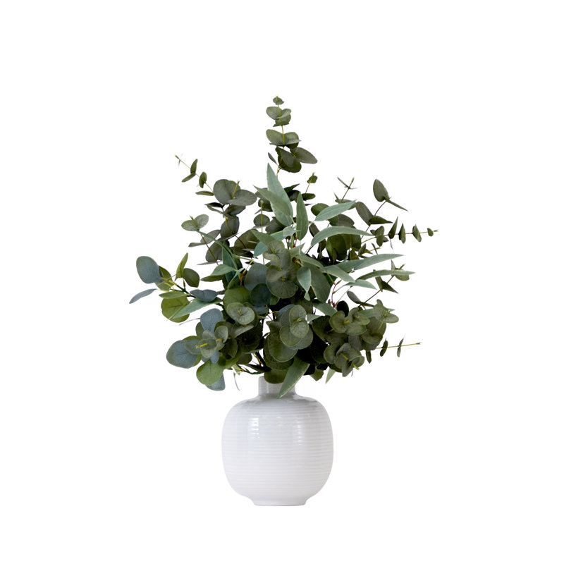 Weller Eucalyptus Arrangement in Planter