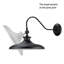 Espute Armed Sconce