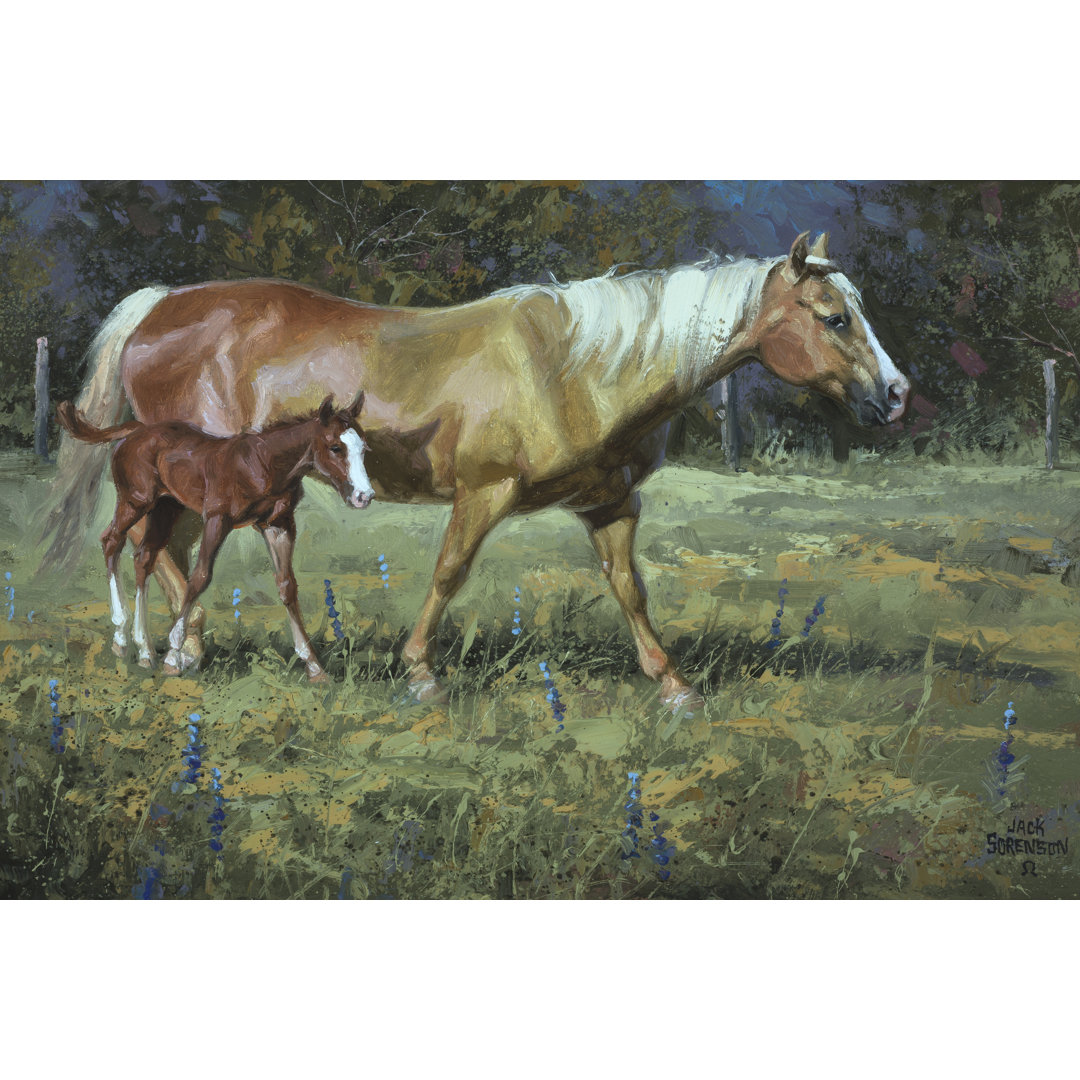 Field Of Dreams by Jack Sorenson - Wrapped Canvas Painting