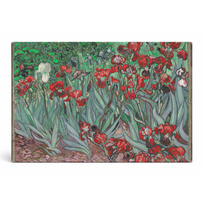 Iris (1889) - Paysage, art mural sur toile