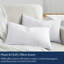 Delara Premium Organic Cotton Throw Pillow Inserts (Set of 2), Down-Proof Cover with 100% White Duck Feather Filling-101809420-101809421