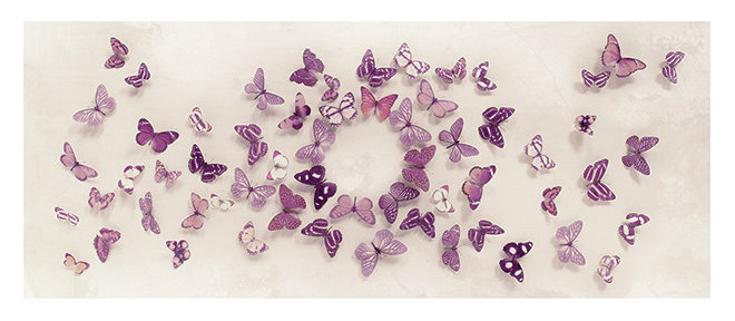 Kaleidoscope of Butterflies 1 Piece Wall Art, Paper