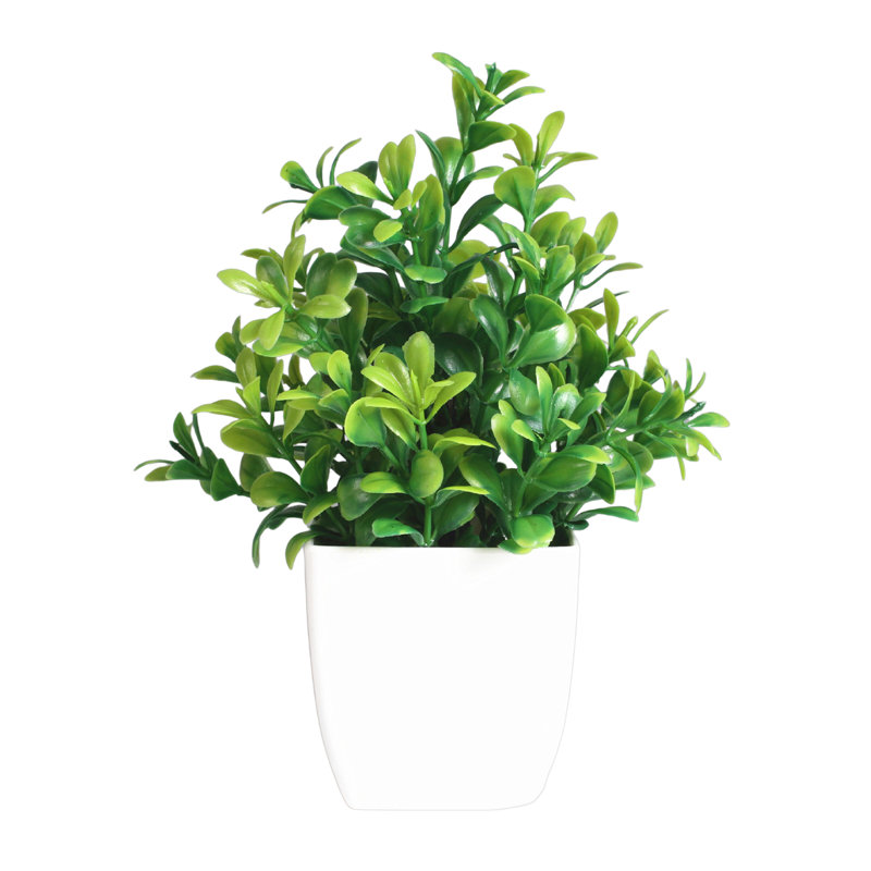 Bonsai artificiel Vivid Living Room Eucalyptus artificiel