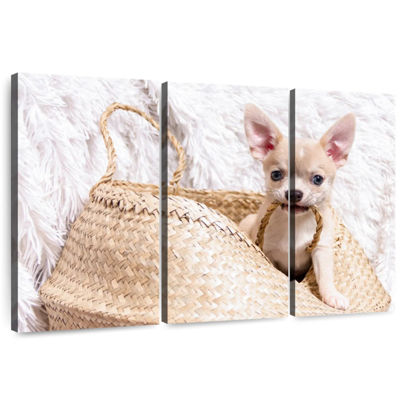 Brampt Rowdy Chihuahua, 48" H x 74" W