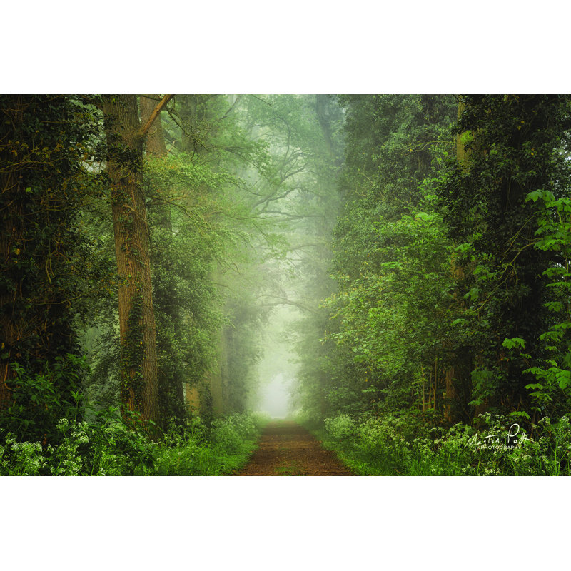 «Misty Spring Road» par Martin Podt - reproduction, H 24 po x l 36 po, Toile tendue
