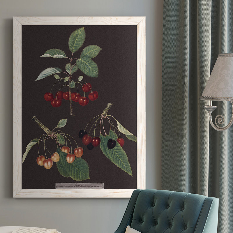 Brookshaw Cherries - Cadre photo unique, impression sur toile, H 37,5 po x l 27,5 po x P 1 po, Blanc