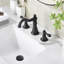 Signature Collection Two-Handle 6" to 10" Widespread Lavatory Bathroom Faucet with Drain Assembly - Matte Black-121632817