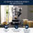 Dedica Maestro Plus Espresso Machine with Automatic Steam Wand