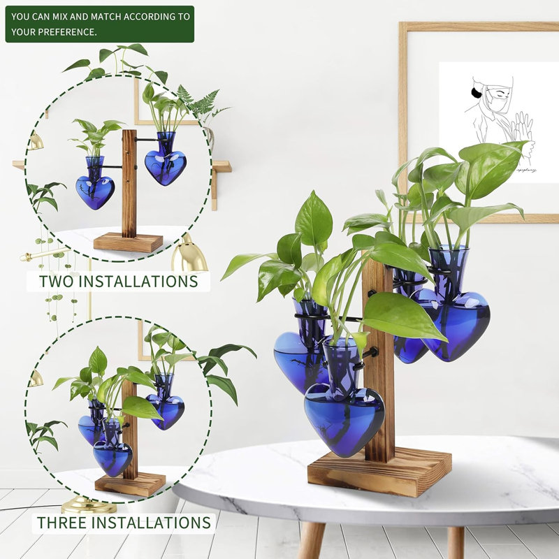 Ensemble de plantes terrarium pour plantes d'intérieur, Vert