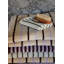 Raita Washcloth Set
