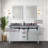 Marsyas 60 in W x 22 in D Double Bath Vanity-37292563