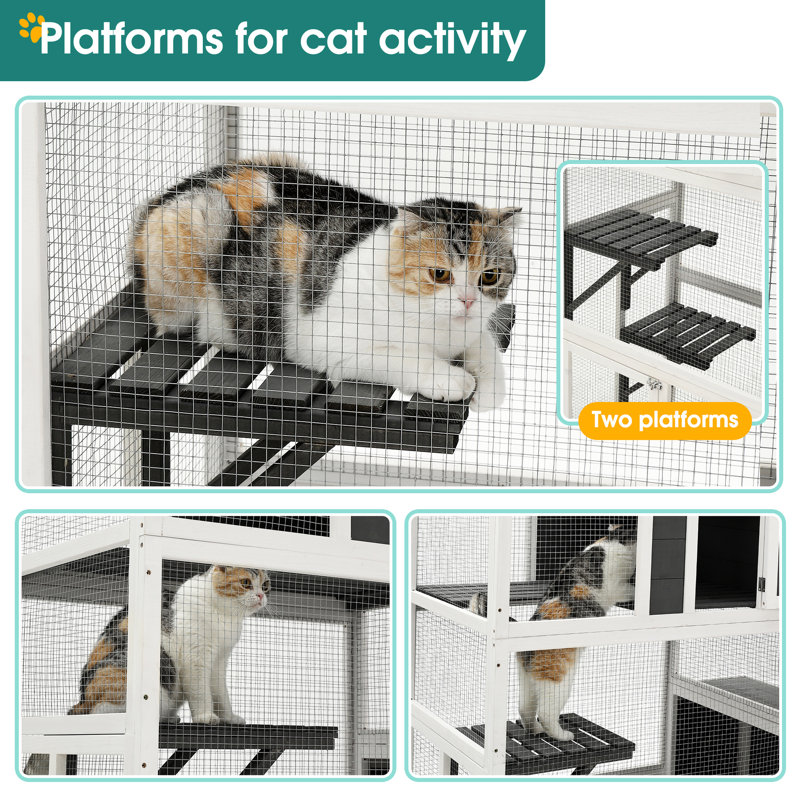 Cage en bois pour chat avec 2 portes - 3 abris pour l'extérieur et l'intérieur pour plusieurs chats