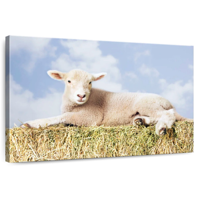 Young Sheep, 8" H x 12" W