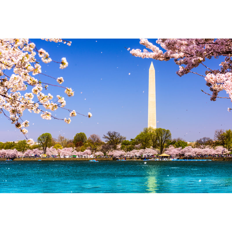 Washington Memorial In Spring by Azuki - Wrapped Canvas Print, 30cm H x 46cm W x 3.8cm D