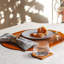 Antibes Lacquer Stripe Coasters