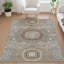 Tapis traditionnel lavable à la machine intérieur / extérieur ACN2525-517791317-517791323