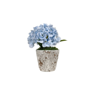 Hortensias bleus dans un pot à fleurs en bois vieilli