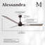 Ventilateur de plafond Alessandra 72-9636484-63956939