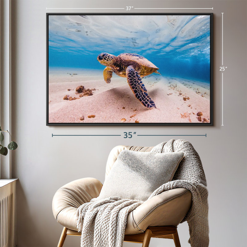 «Sandy Turtle», reproduction sur toile, H 25 po x l 37 po