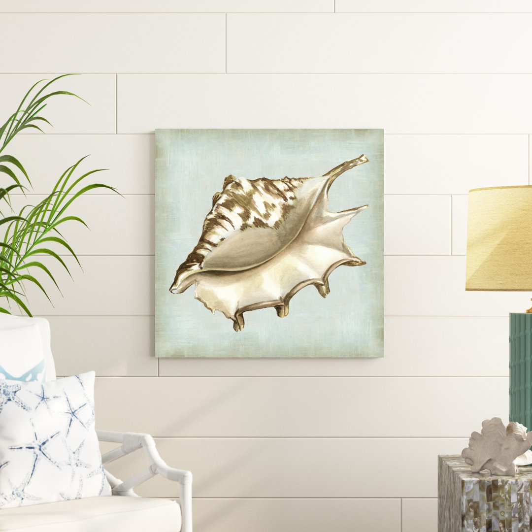 " Sea Dream Shells IV " by Vision Studio Painting Print Highland Dunes