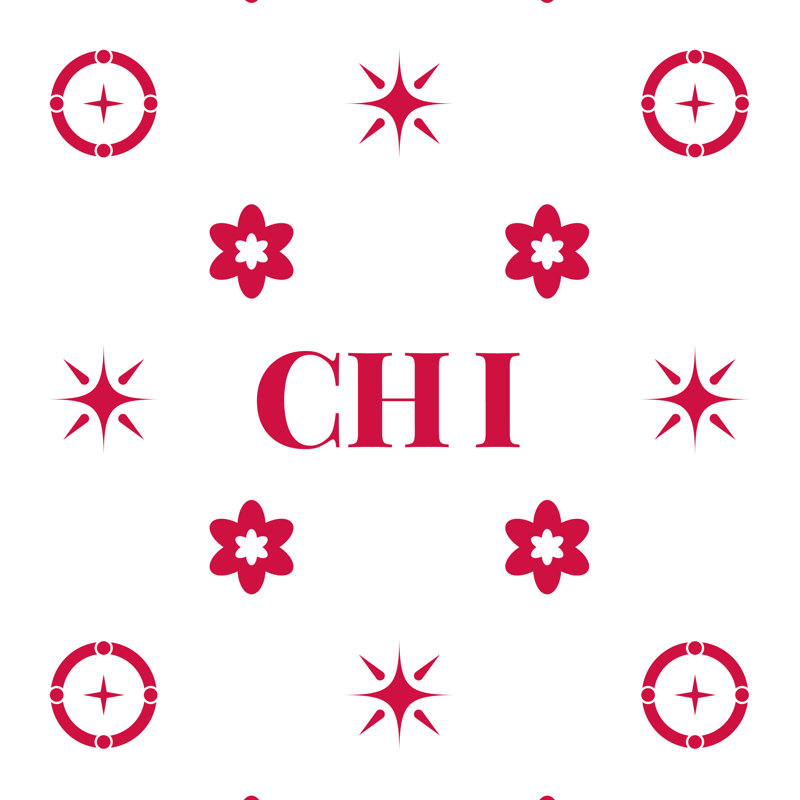 Coussin en coton croisé 20 pouces x 14 pouces Chicago Basketball, Rose/Blanc
