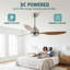 Ventilateur de plafond avec lumières, moteur à courant continu silencieux, 3 ventilateurs de plafond à pales ABS, convient aux terrasses et à l'intérieur