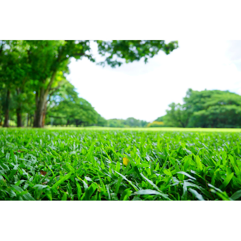 Green Lawns - Illustration sans cadre sur toile, H 8 po x l 12 po