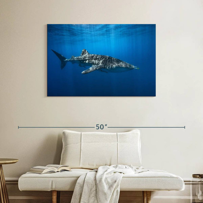 Baleine Brampt dans le bleu, H 26 po x l 39 po