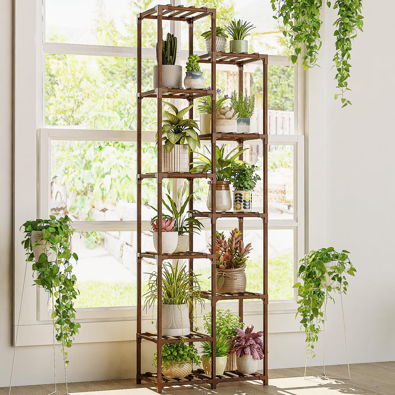 72 po de hauteur pour plante d'intérieur