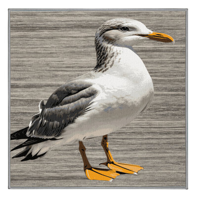 Washable Silver Gull Birds Area Rug