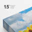 Tournesol «Cloudy Summer Sunflower Field» sur-99543055