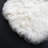 Leontes Indoor Rug-1668329843