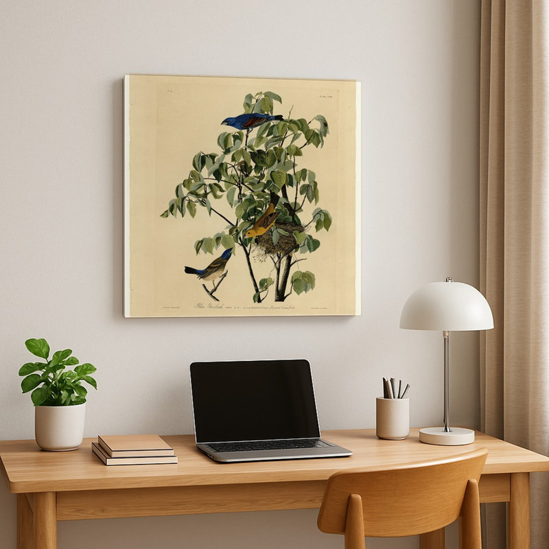 Gros-bec bleu, planche 122 — Décoration murale carrée en métal, 16" H x 16" W