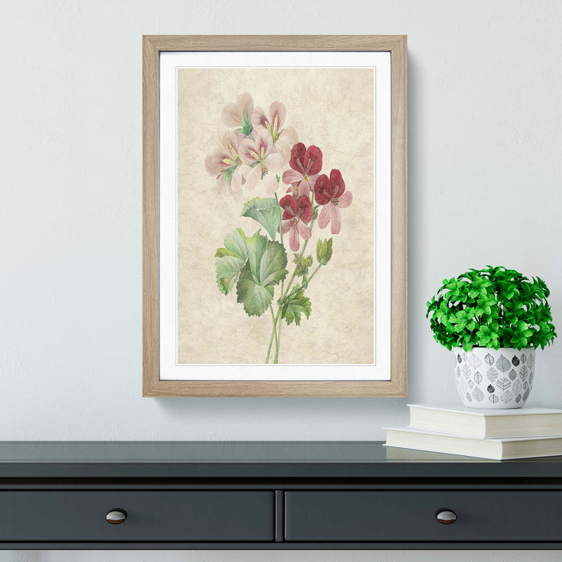 Cranesbill Flowers by Pierre-Joseph Redoute - Picture Frame Painting Print, 48cm H x 36cm W x 2cm D, Oak Framed