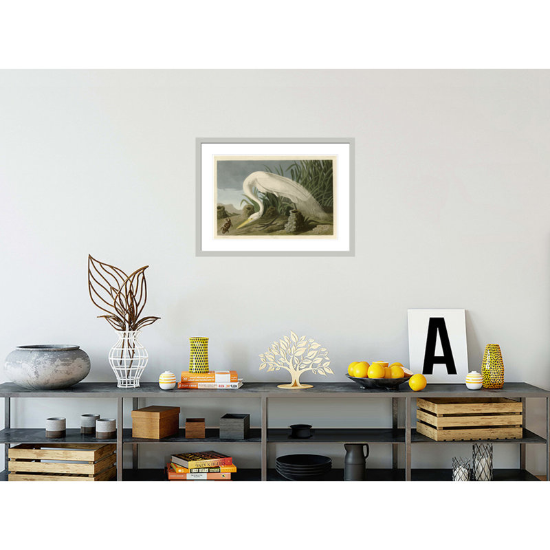White Heron by   John James Audubon -Framed Giclee Print, 22.04" H x 29.5" W