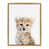 Gold Frame is unavailable