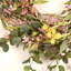 24" Wreath