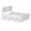 Lit plateforme avec lit gigogne et 3 tiroirs de rangement-1892267603