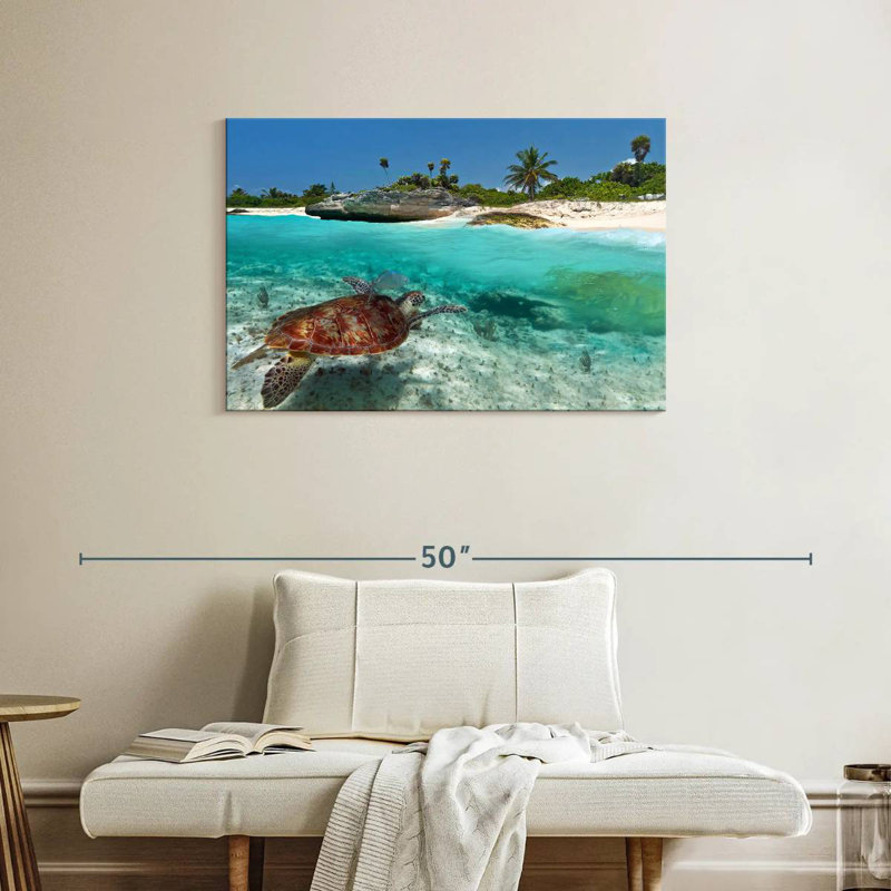 Caraïbes, île des tortues, H 24 po x l 36 po