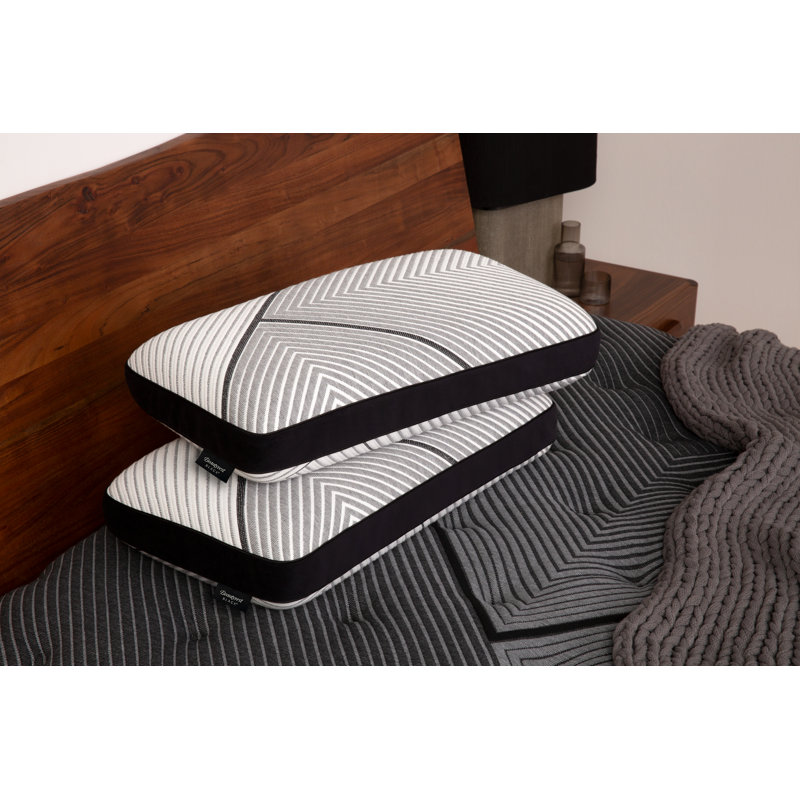 Beautyrest Black Luxury Foam Pillow - Queen, Queen