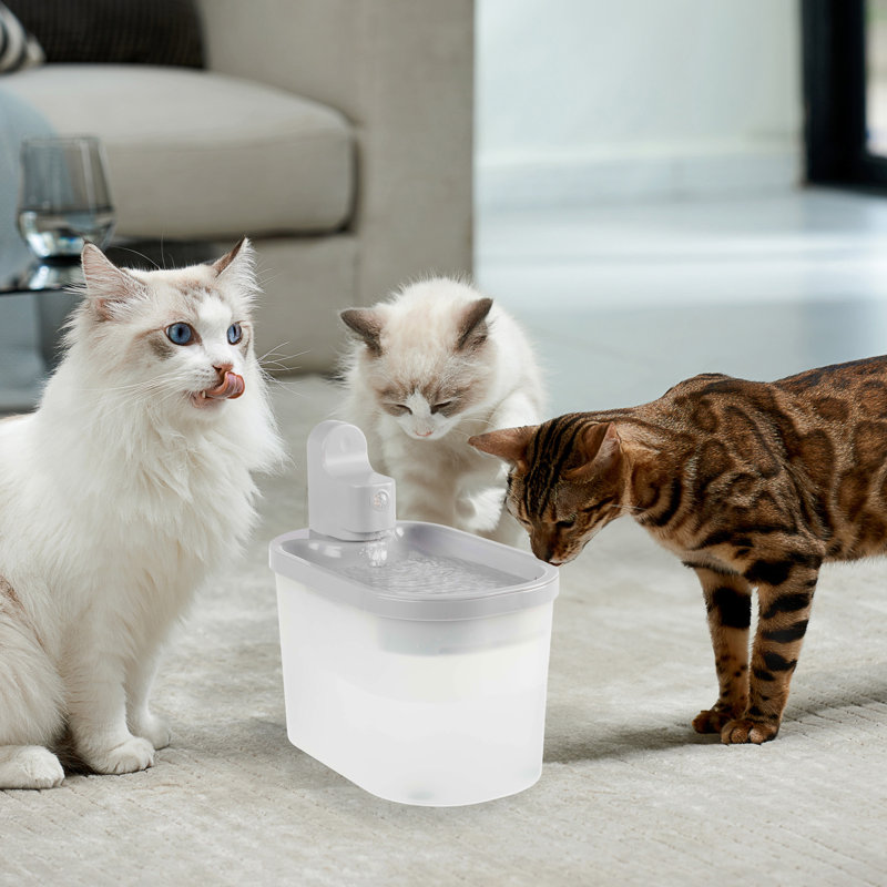 Fontaine d'eau pour chat avec capteur de mouvement PETMAker, H 9,25 po x l 9,25 po x P 6 po, Gris / Transparent