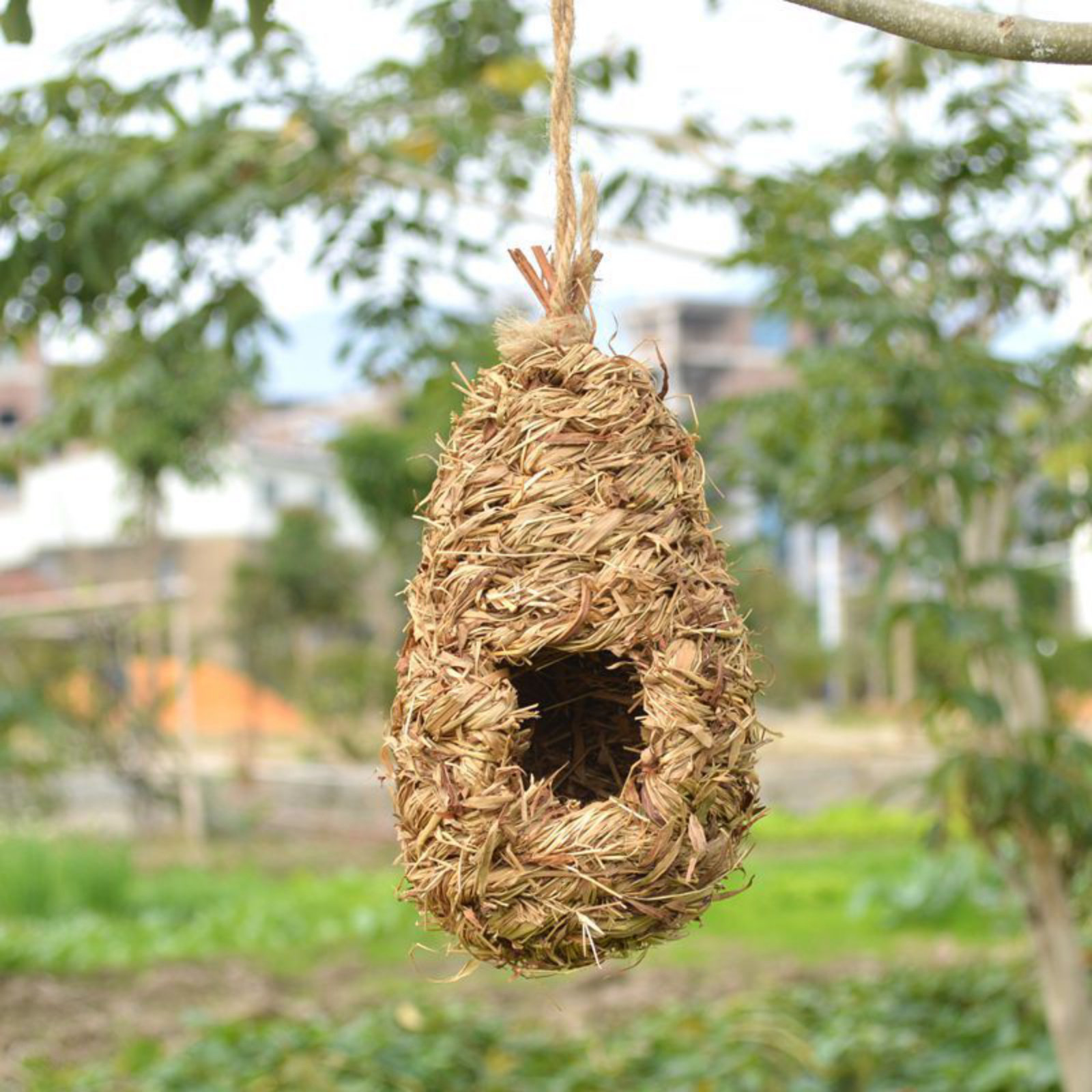 Ophelia & Co. 1pc Hand-woven Natural Grass Hummingbird Nest House ...