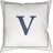 Outdoor Throw Pillow-16137798-16137818