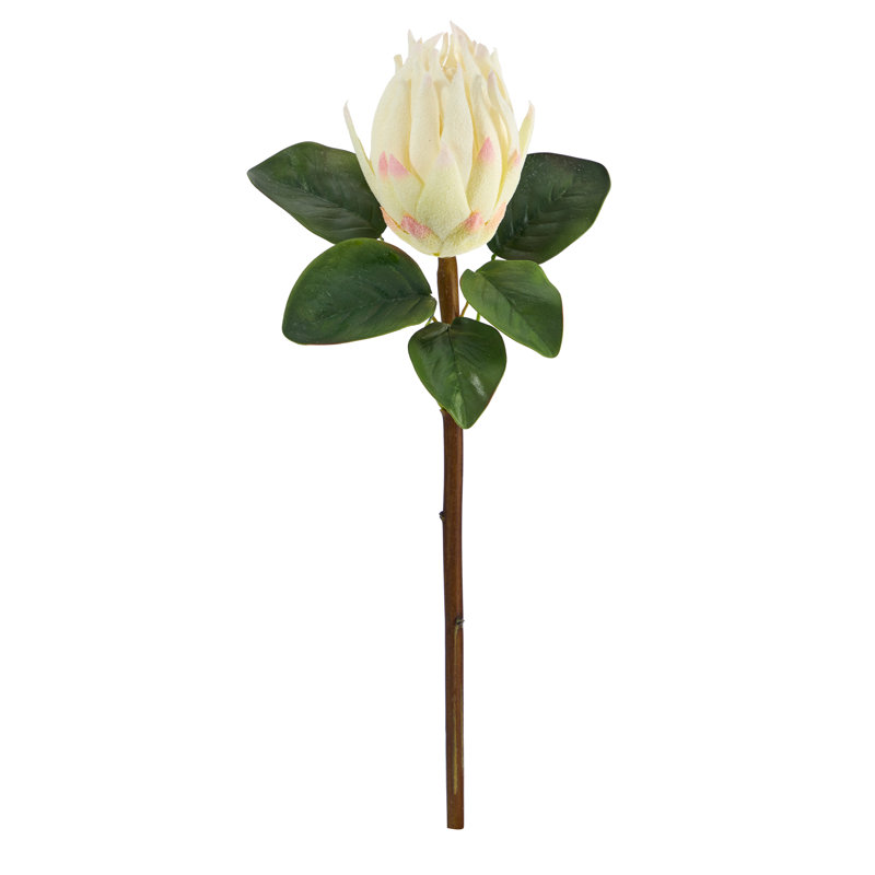 Protea Arrangement, White